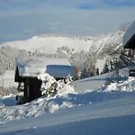 Savoie Les D'heidi Alpesi faház