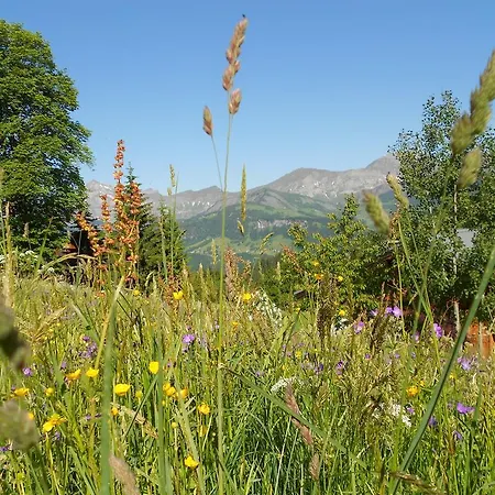샬레 Savoie Les D'heidi *