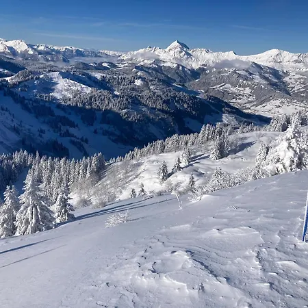 Savoie Les D'heidi 샬레 노르트 담 드 벨레콤