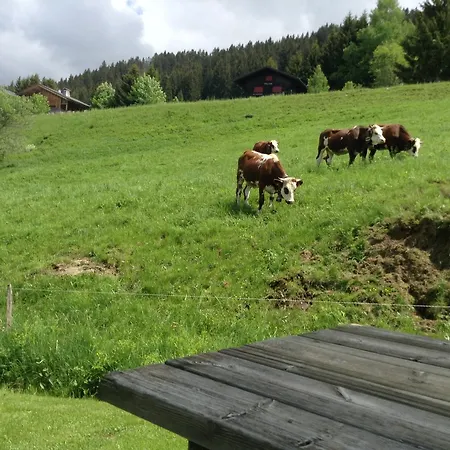 Savoie Les D'heidi 샬레 노르트 담 드 벨레콤
