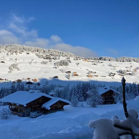 Chalet Savoie Les D'heidi