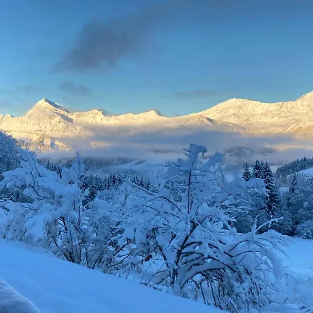 シャレー Savoie Les D'heidi *