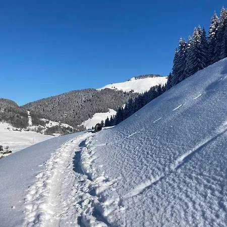 Chalet Savoie Les D'heidi
