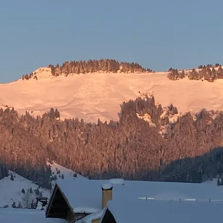 Chalet Savoie Les D'heidi