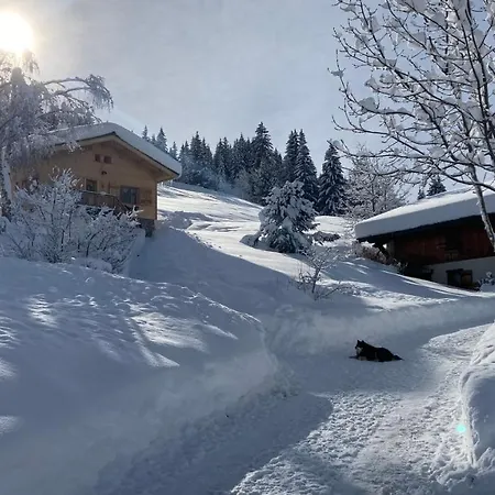 Savoie Les D'heidi Alpesi faház
