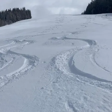Savoie Les D'heidi