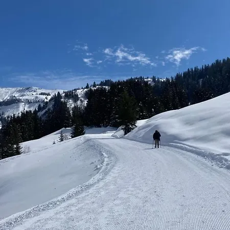 Savoie Les D'heidi Alpesi faház Notre-Dame-de-Bellecombe