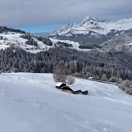 Savoie Les D'heidi * Notre-Dame-de-Bellecombe