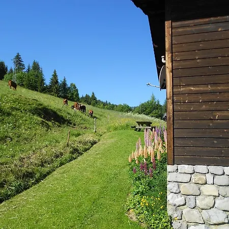 Savoie Les D'heidi *