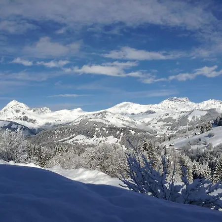 Savoie Les D'heidi Alpesi faház