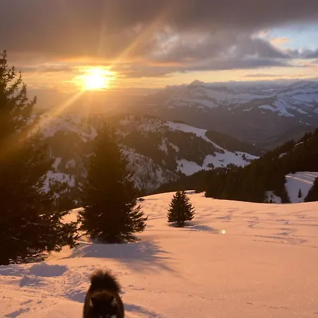Savoie Les D'heidi Notre-Dame-de-Bellecombe