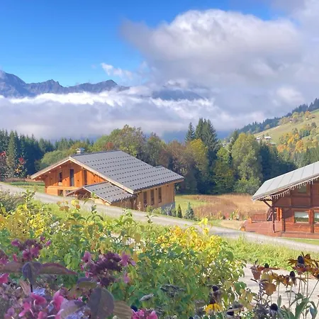 Savoie Les D'heidi Chalet *