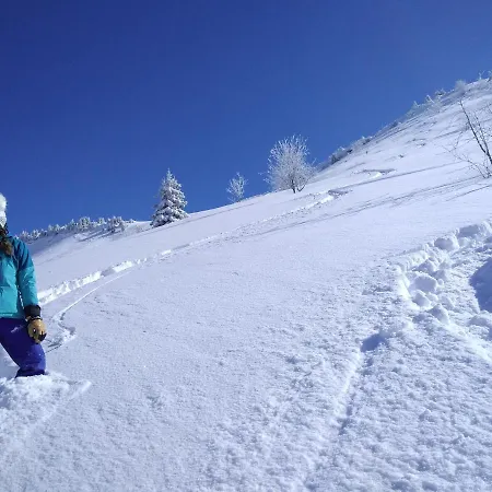 Domek alpejski Savoie Les D'heidi *